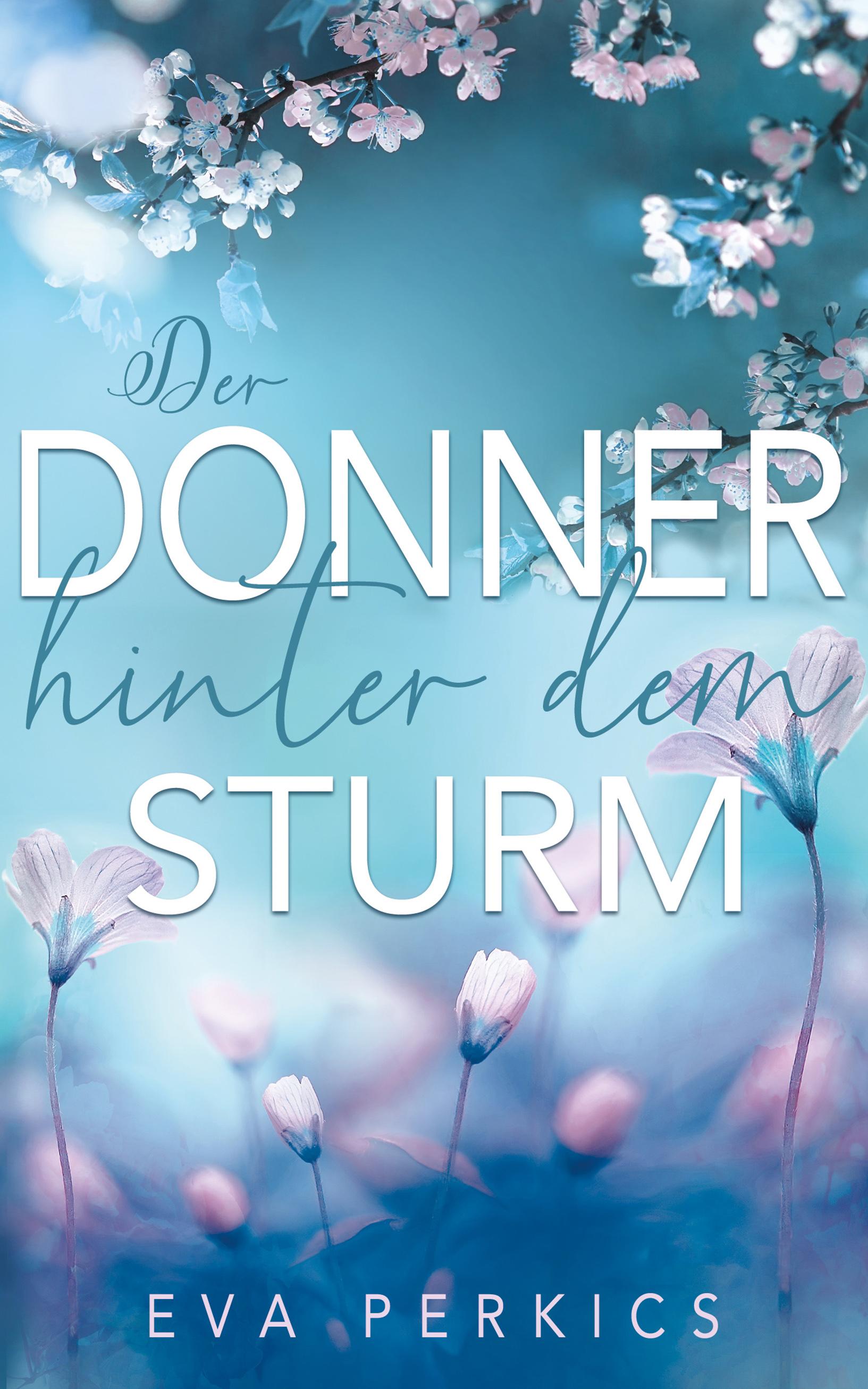 Der Donner hinter dem Sturm